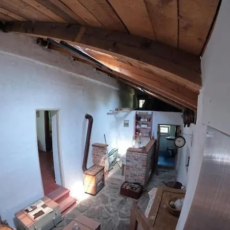 Dráždní Na Samotě U Lesa